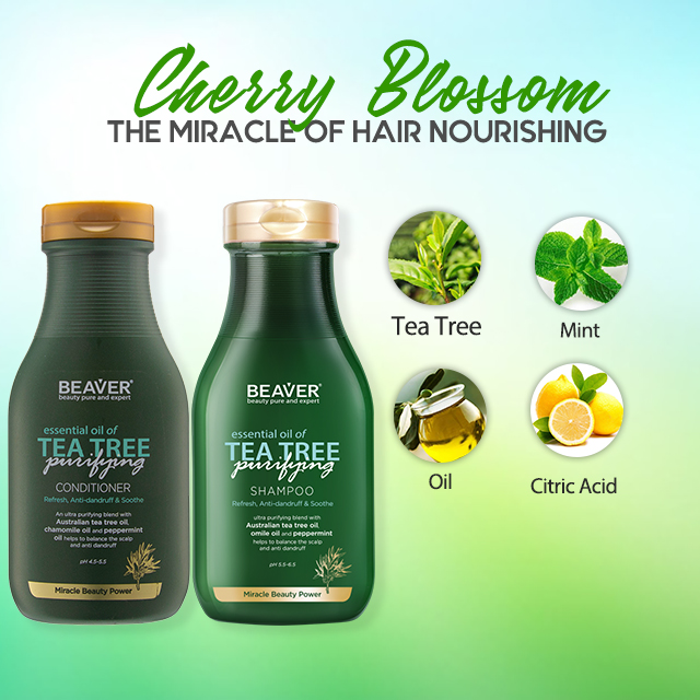 Travel Size Anti Dandruff Shampoo Herbal Rosemary Oil Hair Growth Tea Tree Oil Hair Treatment Sulfate Free Shampoo Conditioner