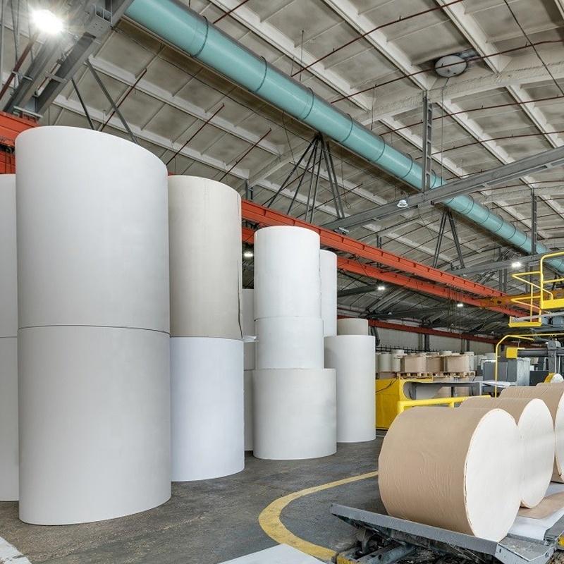 Pulping Bio Bleaching Pulp Bleaching Enzyme Paper Making Natural Paper Bleaching Agent In Pulp Whitening #SUN28