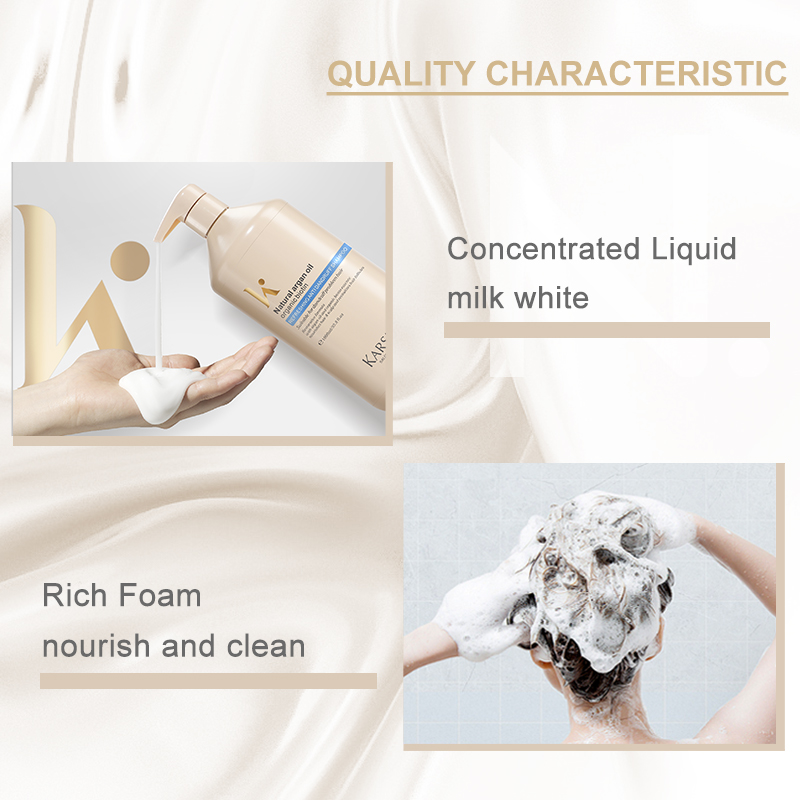 OEM Natural Hair Care Damage Hair Repairing Argan Oil Shampoo Reduce Hair Breakage Private Label Hair Shampoo And Conditioner