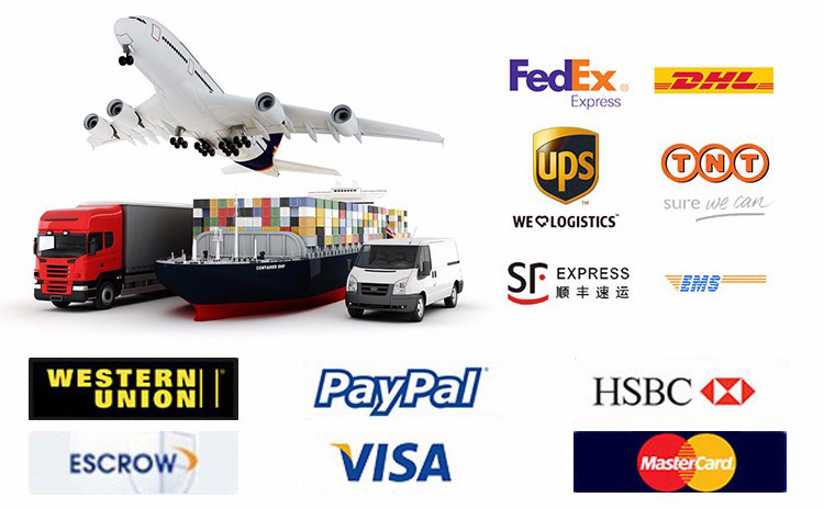 Shipping and Payment Options