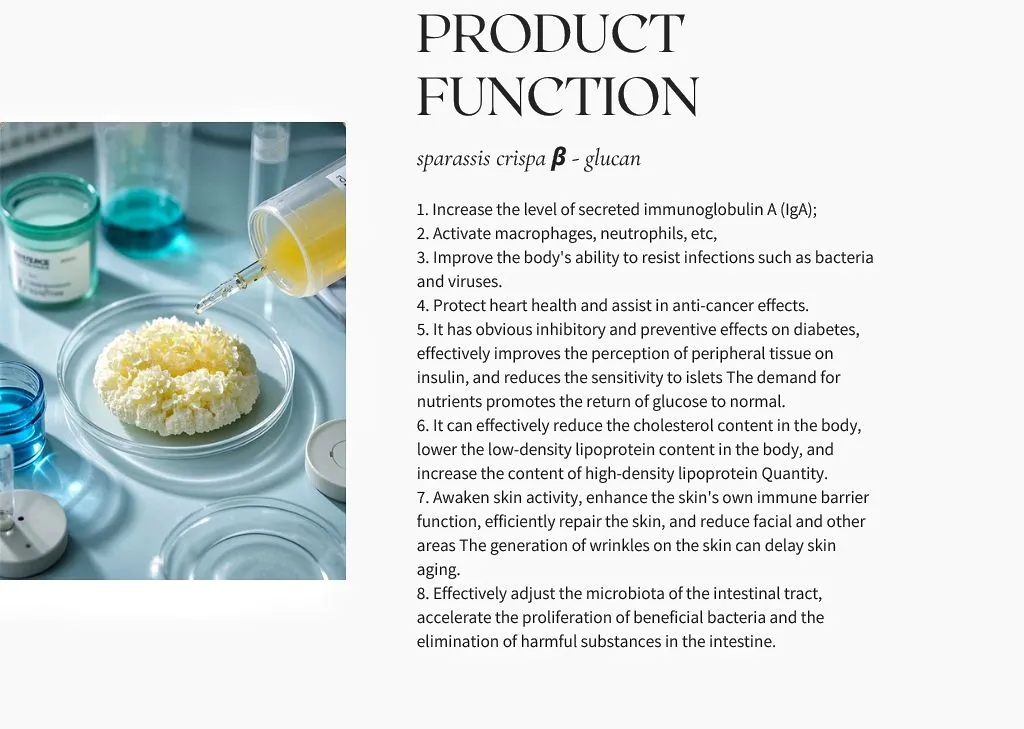 Function Illustration 1