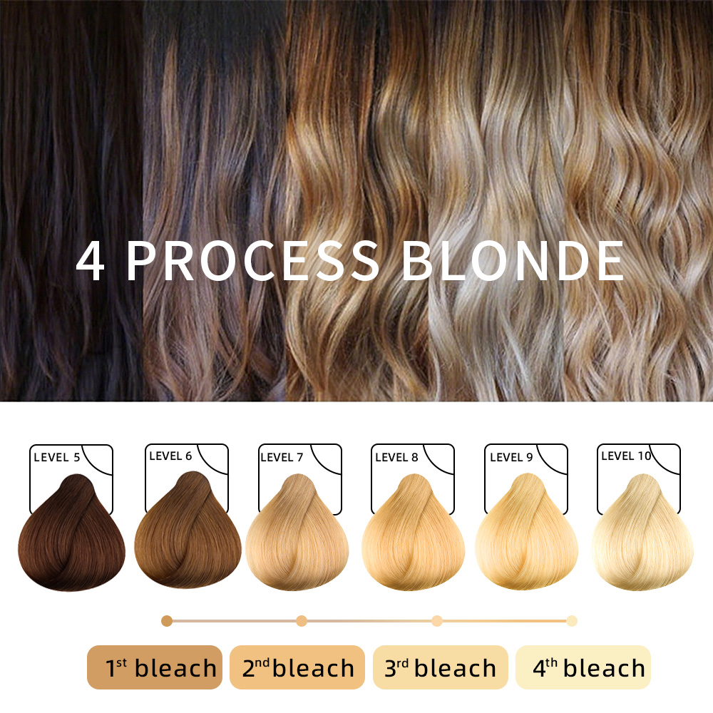 Feiqu Hera Series Professional Salon Use 500g Hair Bleach Powder Italy Dust-Free &amp; Ammonia-Free Hair Color