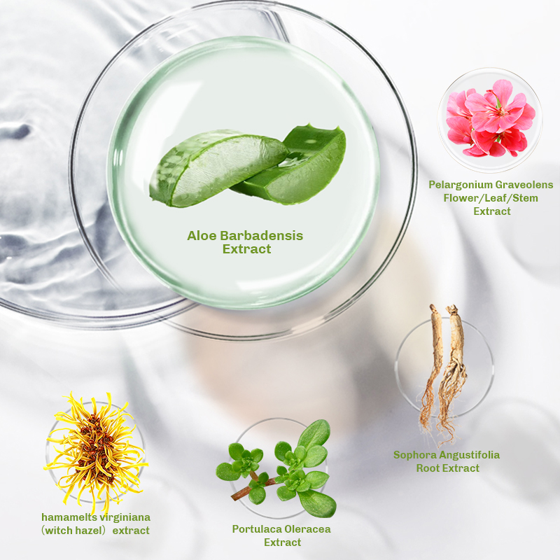 Product Description Image 4