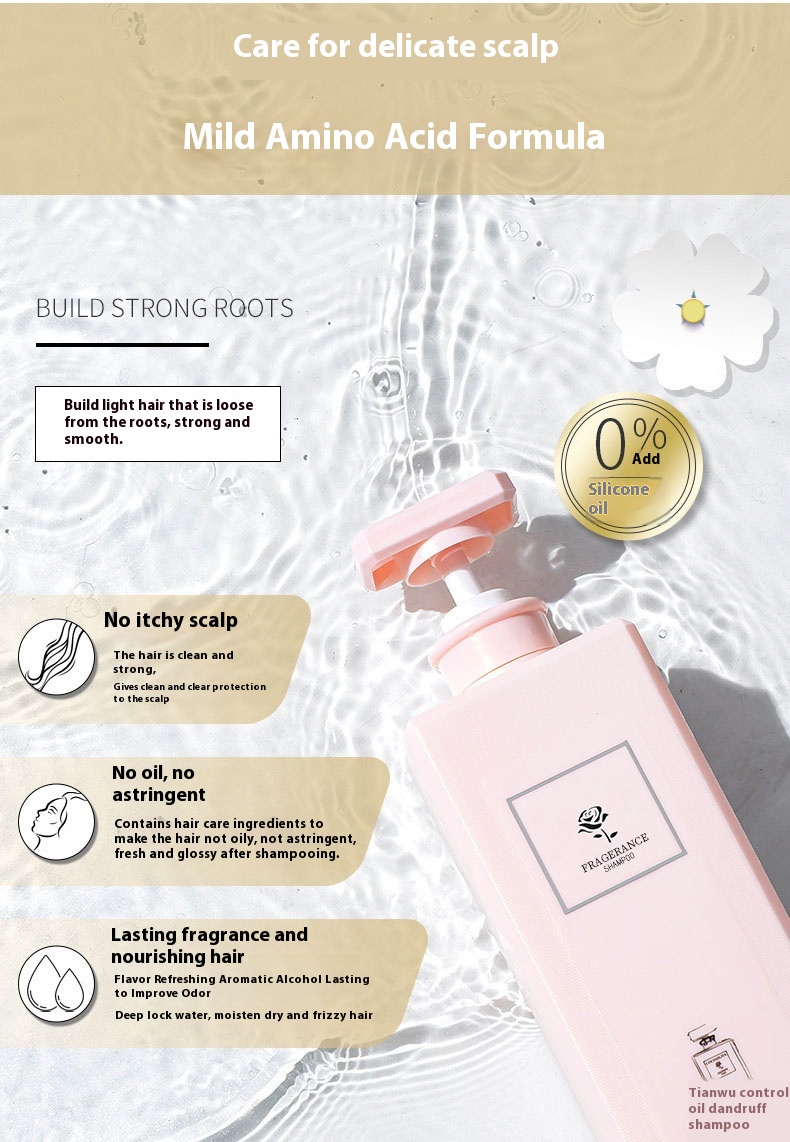 Product Showcase 4
