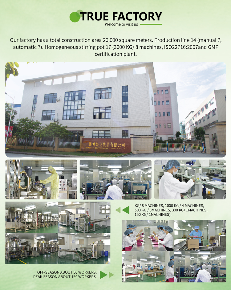 Company Profile 2