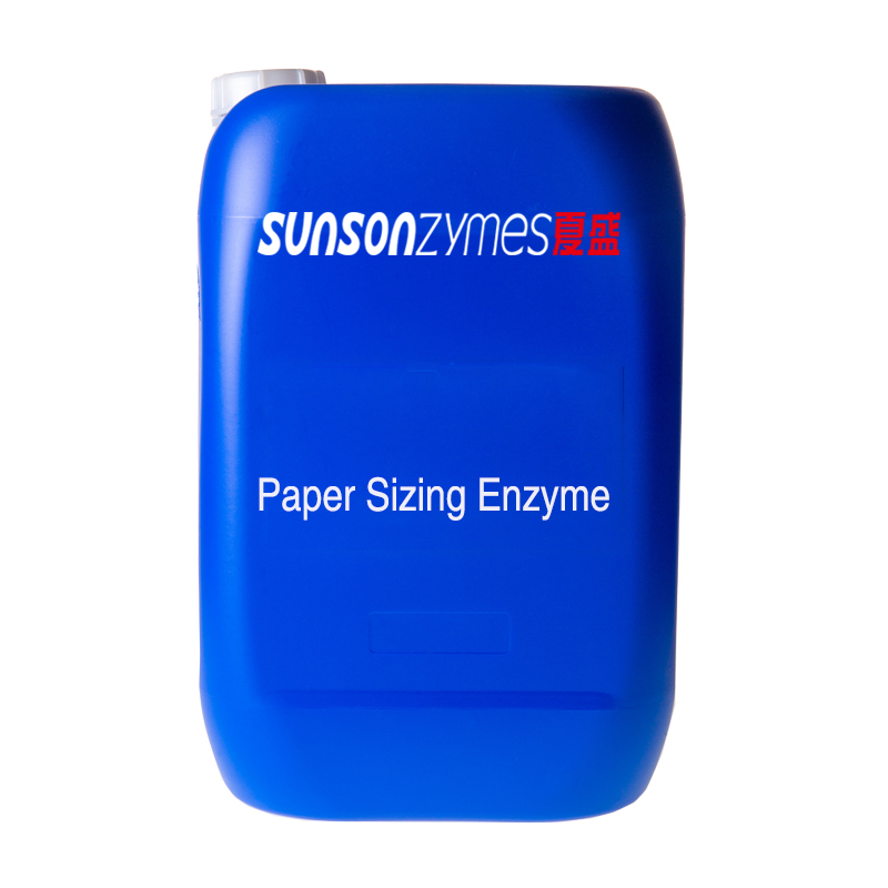 Paper Bio Sizing Enzyme