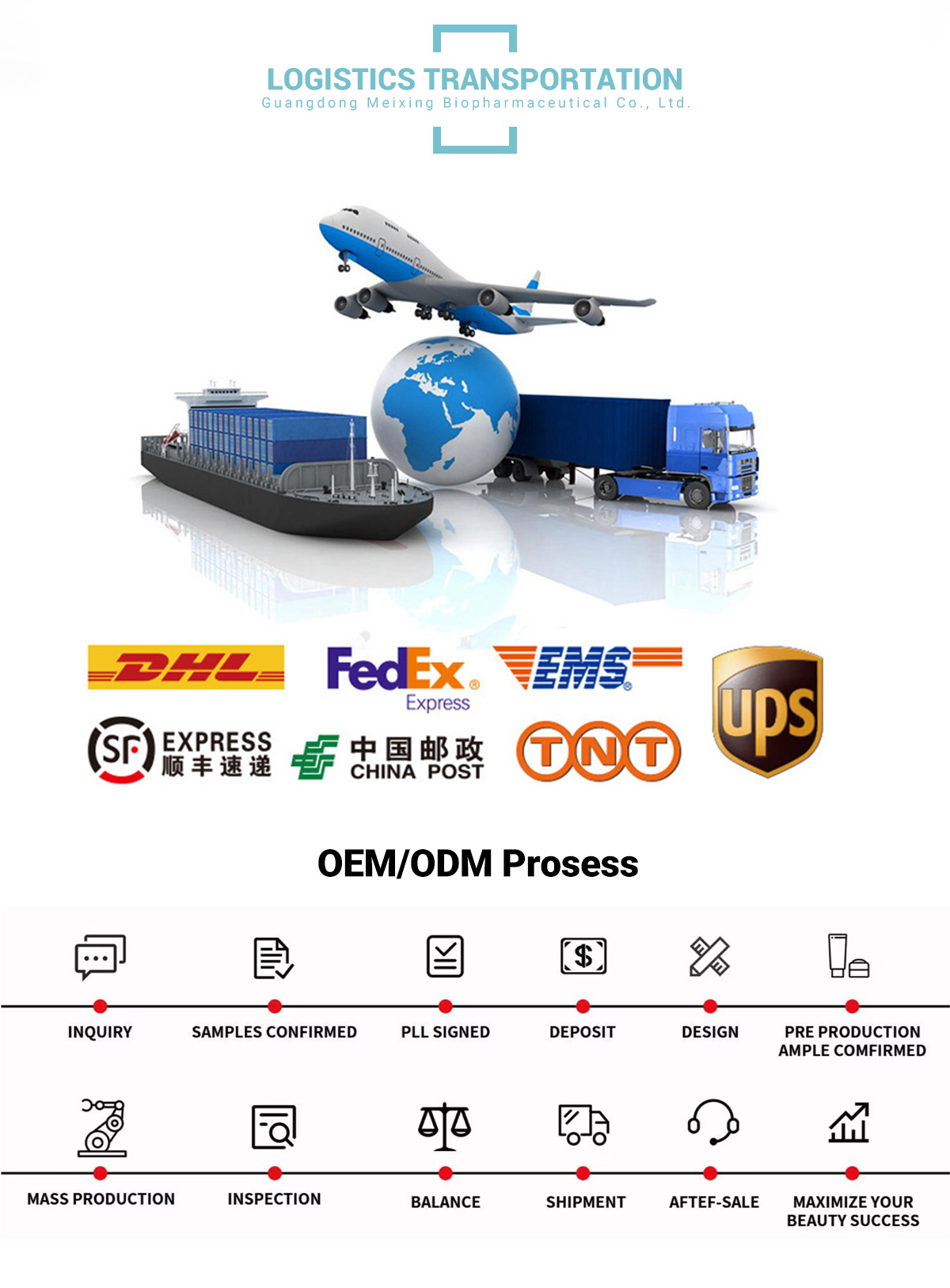 Company Showcase 5