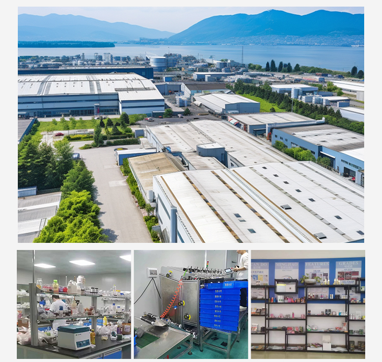 Manufacturing Area