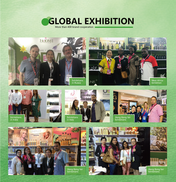 Company Profile 3