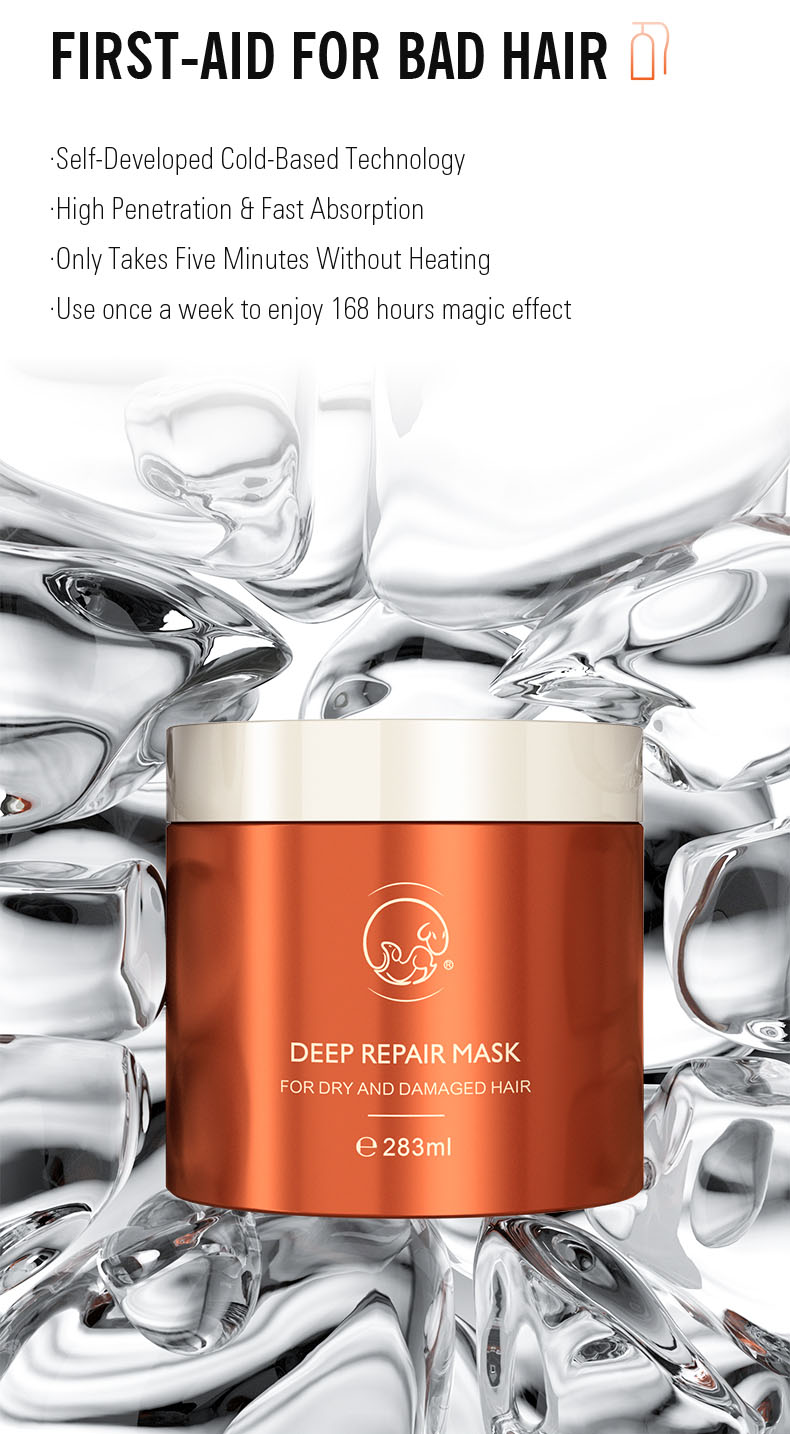 Deep Repair Mask Feature 3
