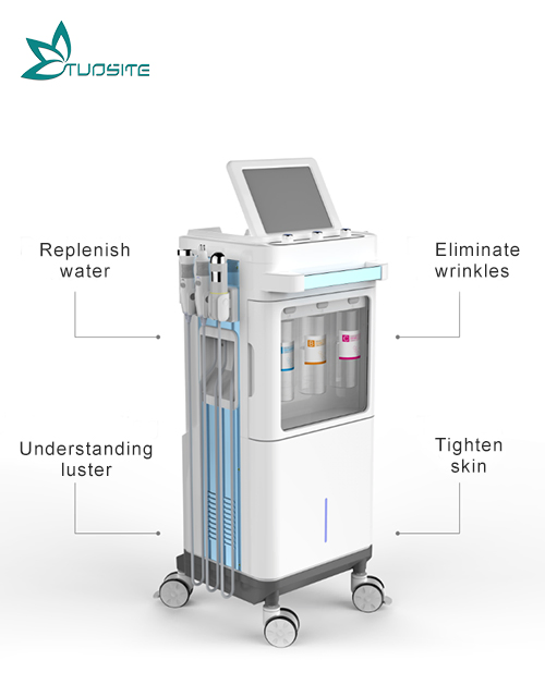 Professional Skincare Hydro Facial Machine for Beauty Salon Use