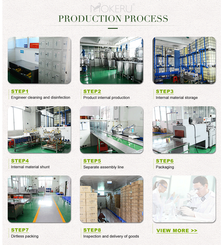 Factory Overview 1
