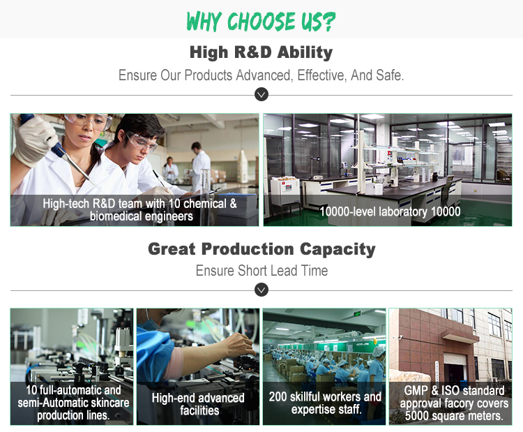 Company Introduction 2