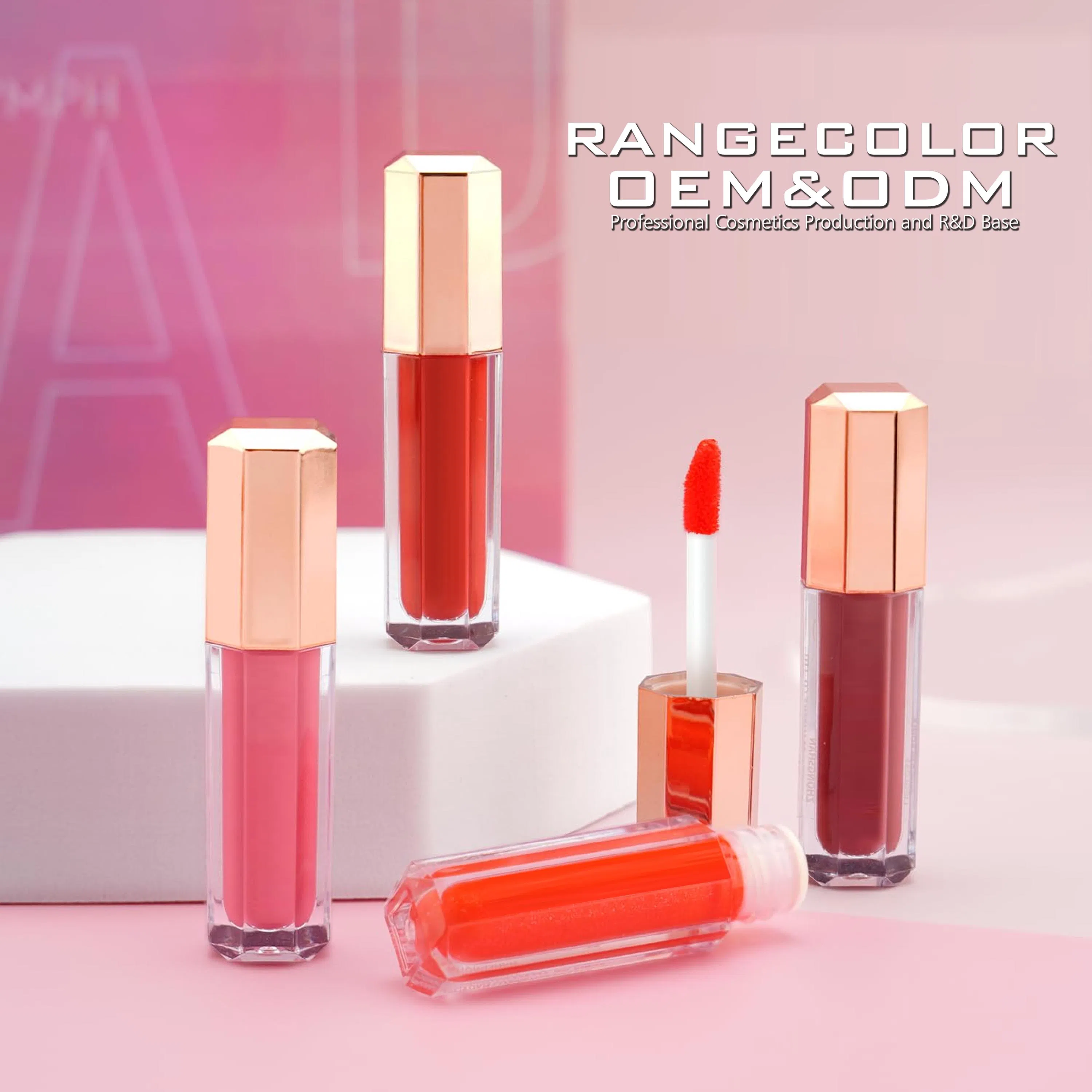 Professional Cosmetics16 PCS Makeup Set for Lip Glaze &Lip Oil&amp; Lip Gloss Collection
