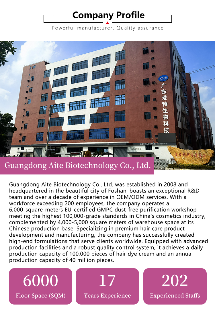 Company Profile 1