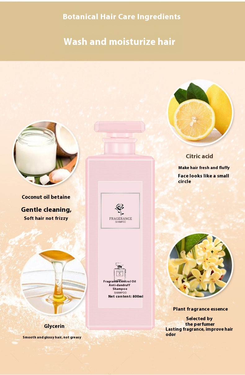 Product Showcase 6