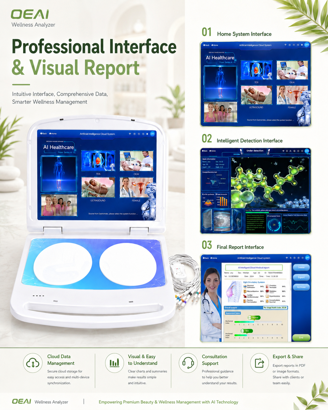 OEAI Screen 2