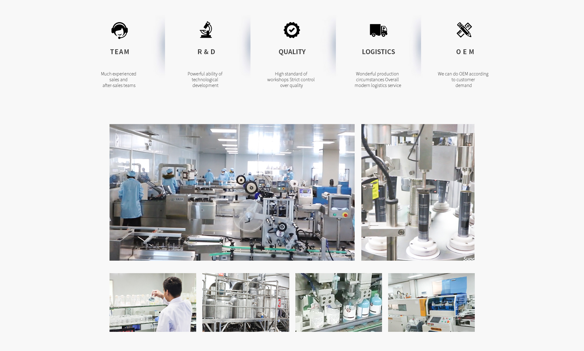 Company overview