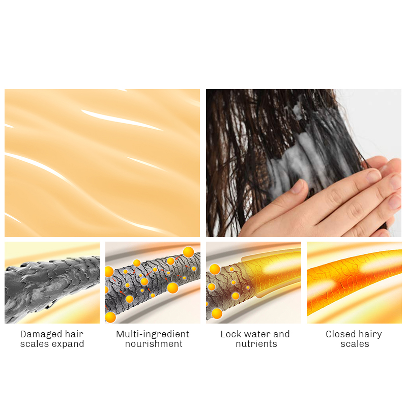 Hair Care Set: Oranges Shampoo and Conditioner - Clean, Shiny, Manageable Hai