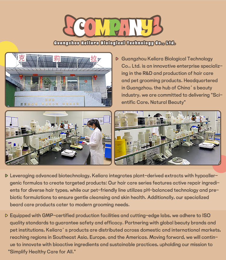 Company Image 1