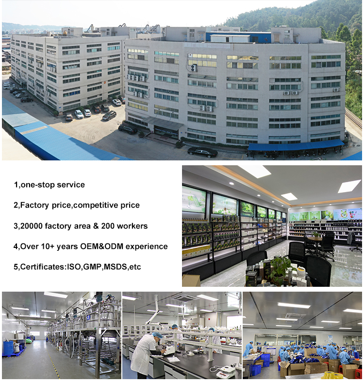 Company Image 2