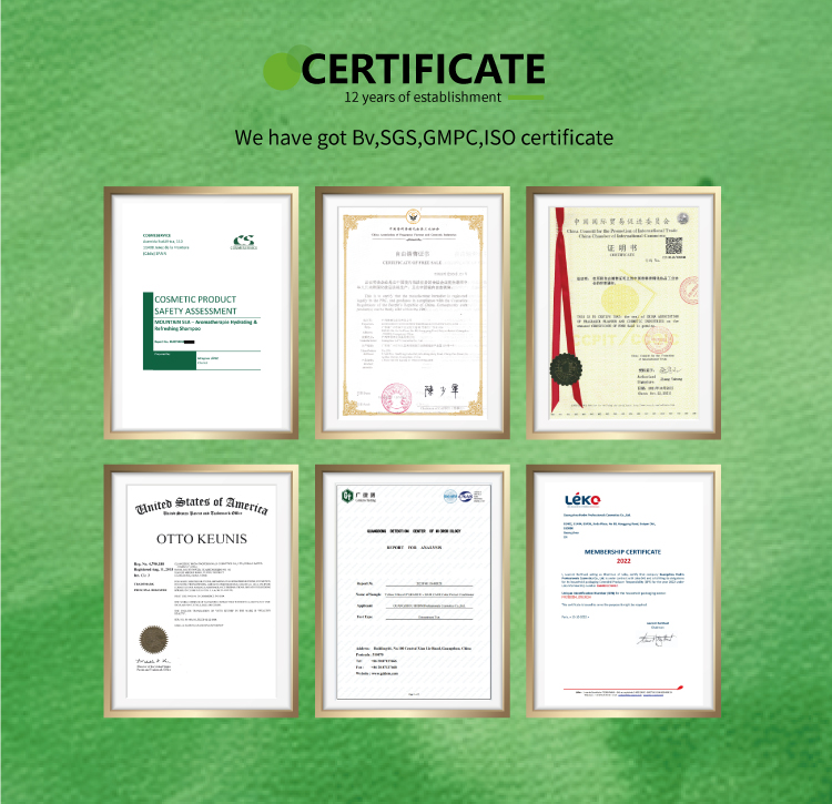 Company Profile 4
