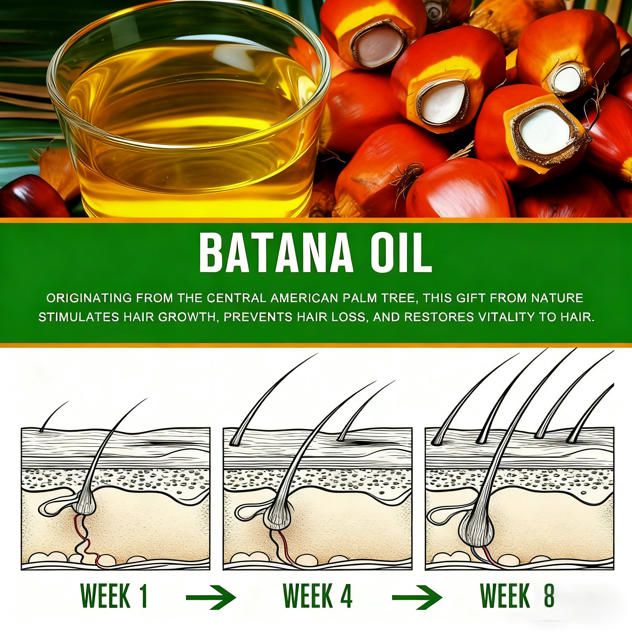 Batana Oil Butter Wild Growth Hair Oil Herbal Remedies Scalp Care 110g for Online Retailer