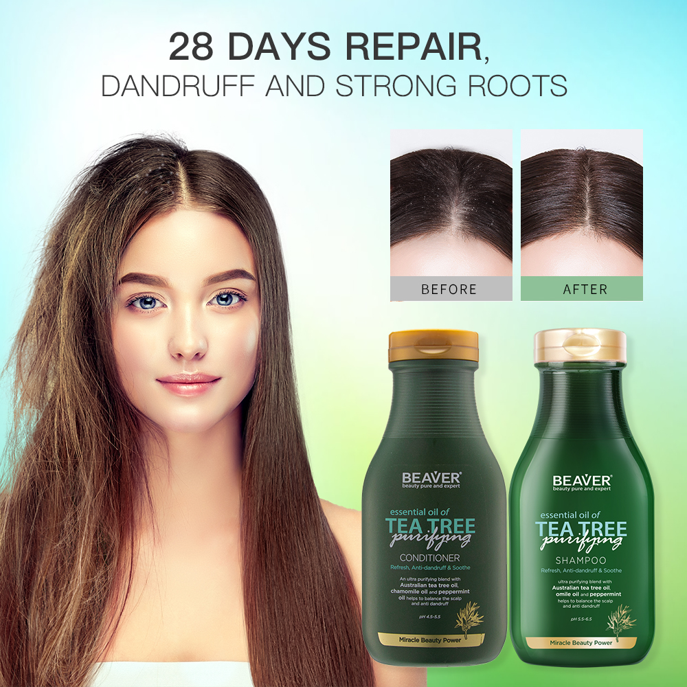 Travel Size Anti Dandruff Shampoo Herbal Rosemary Oil Hair Growth Tea Tree Oil Hair Treatment Sulfate Free Shampoo Conditioner