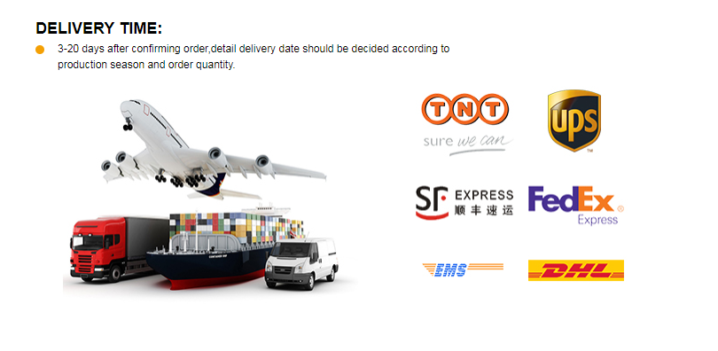 Shipping Method 1