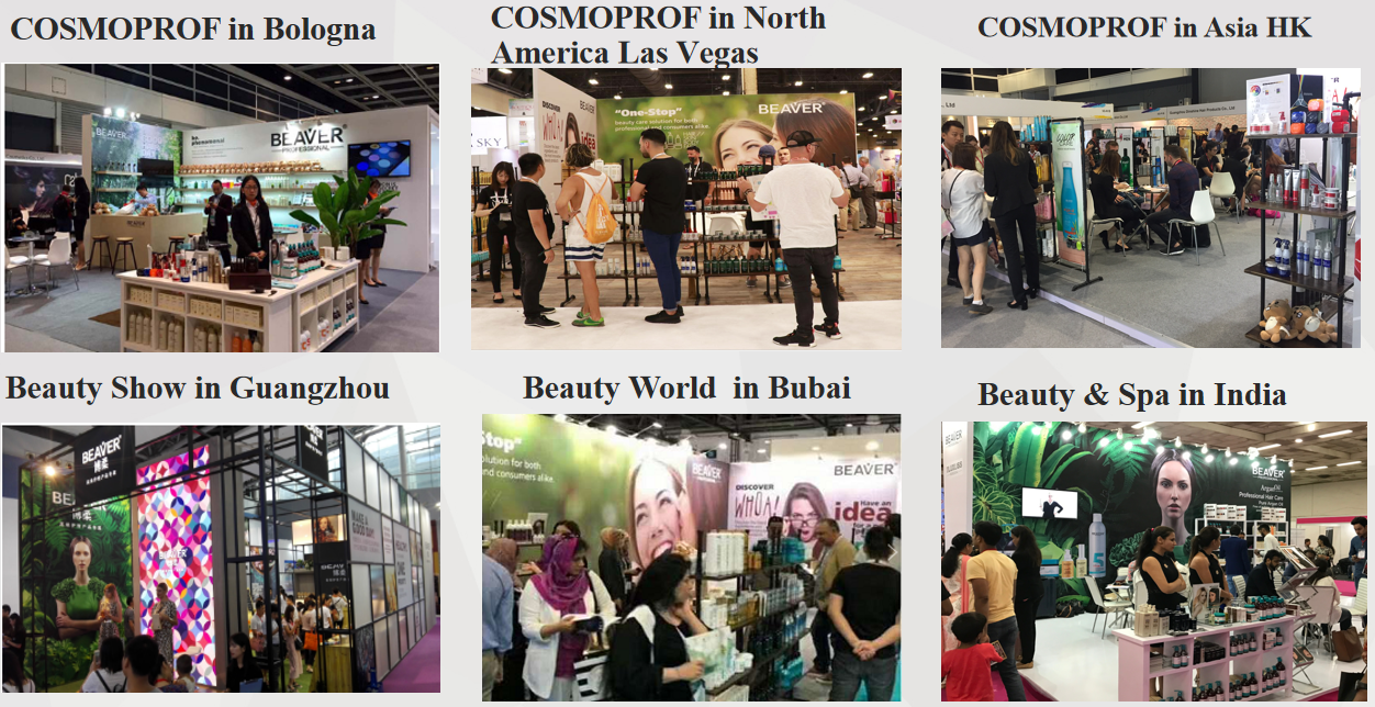 Global Exhibition Showcase