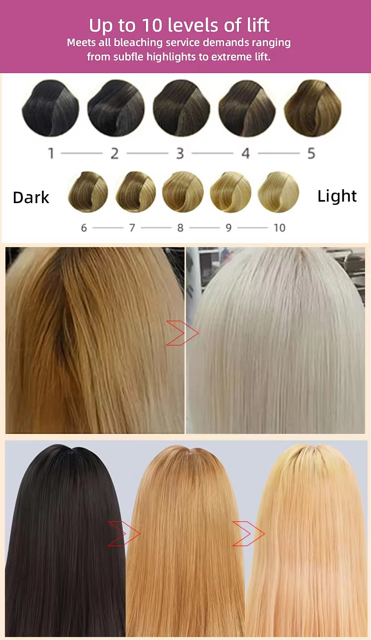 Product Description 5