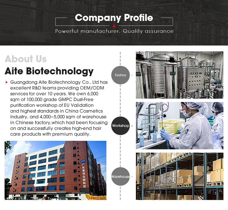 Company Profile
