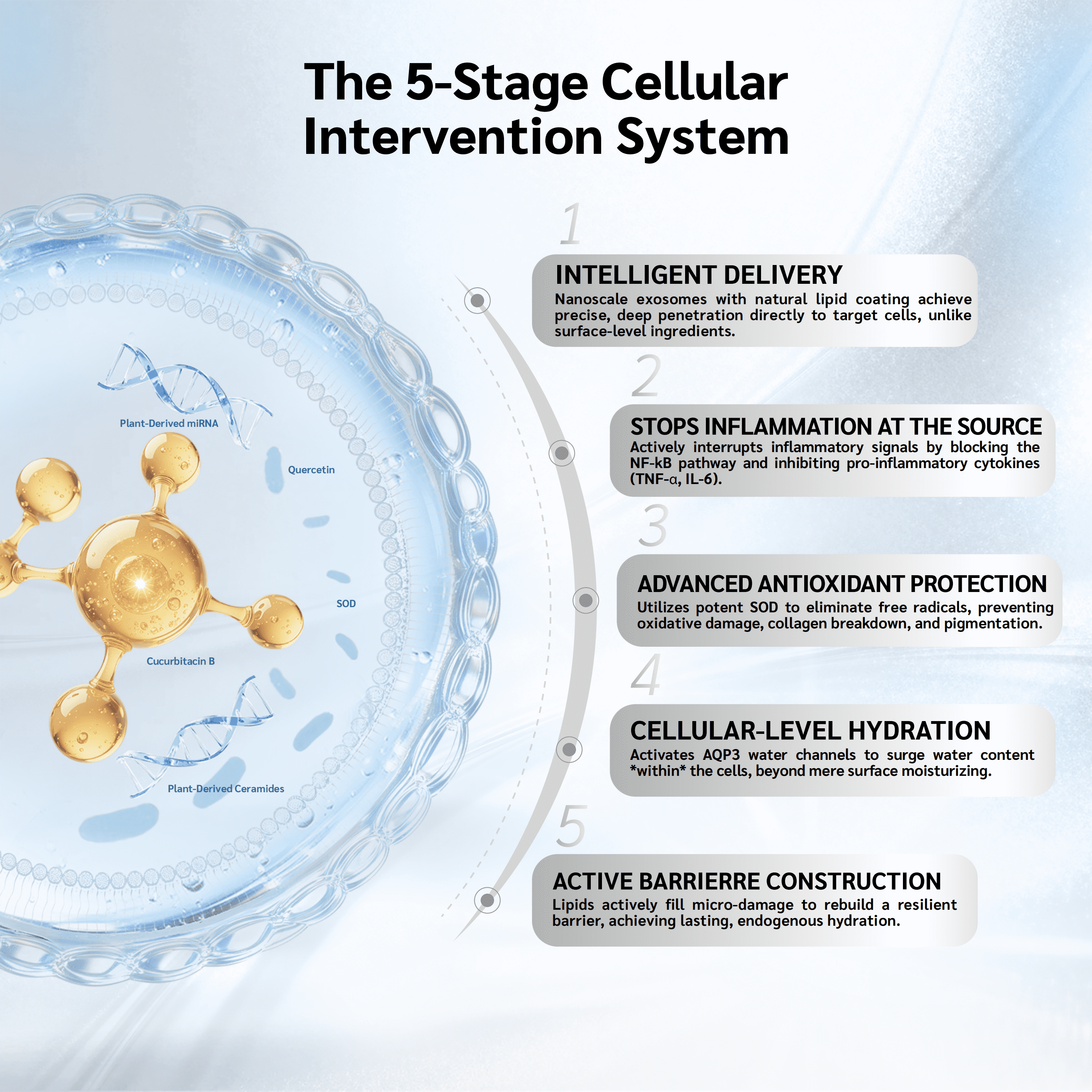 Efficient Response OEM/ODM 24 Sets Per Box Glass Skin Radiance Collection Freeze Dried Essence for Beauty Salon Use