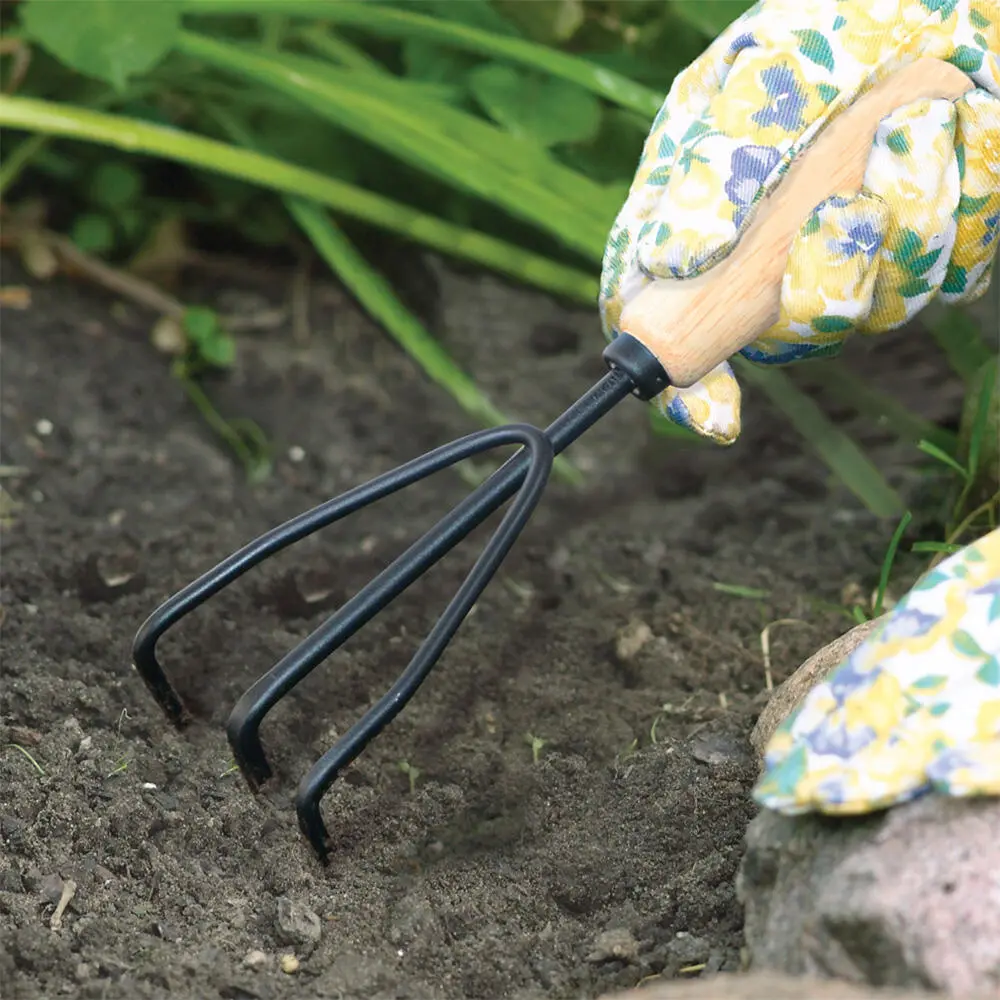 OEM Premium 3 Tine Garden Hand Cultivator Tool - Durable Manual Tiller from China Suppliers & Factory for Efficient Gardening Quotes, Service