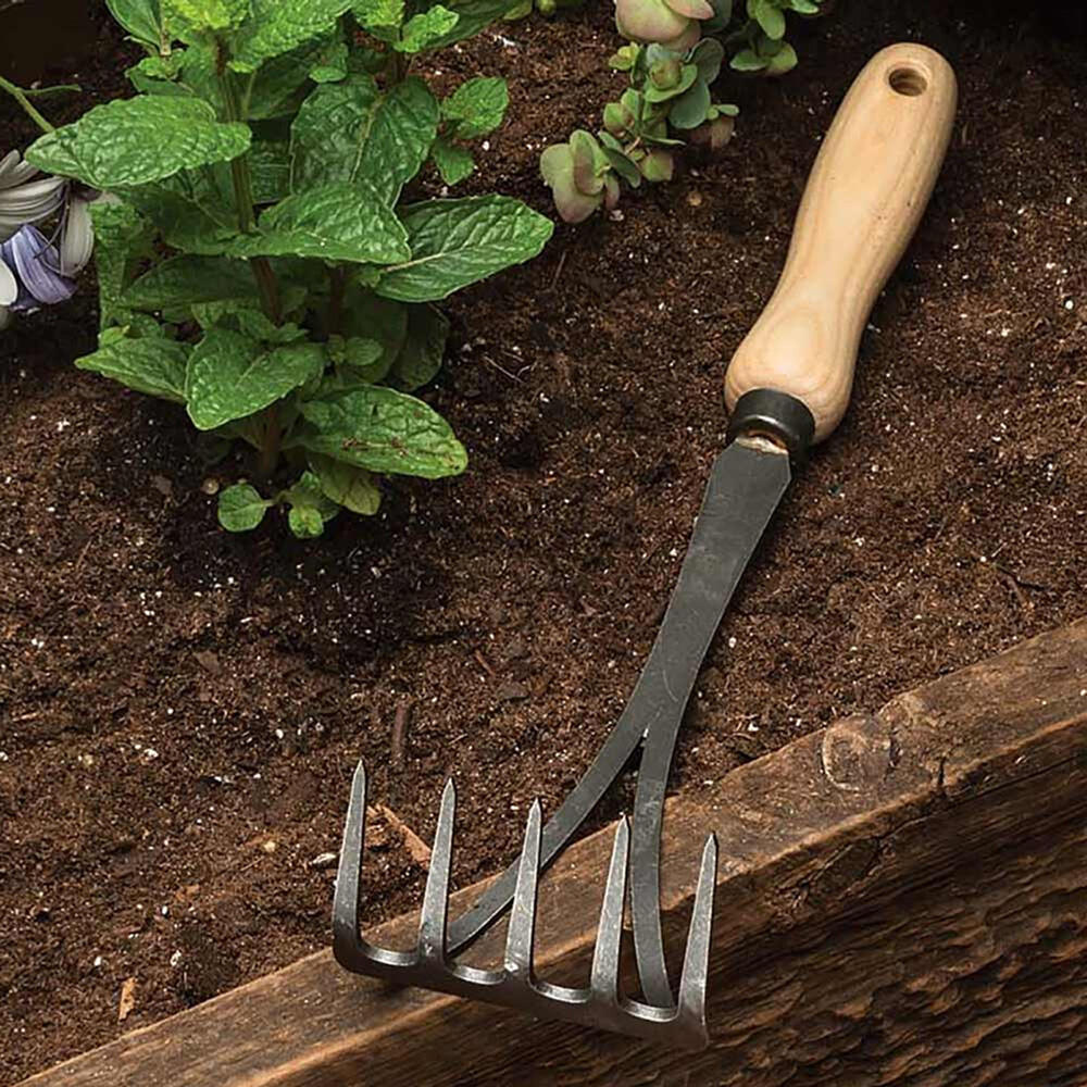 Garden Rake Small Metal Tool Short Handle For Cleaning (3)