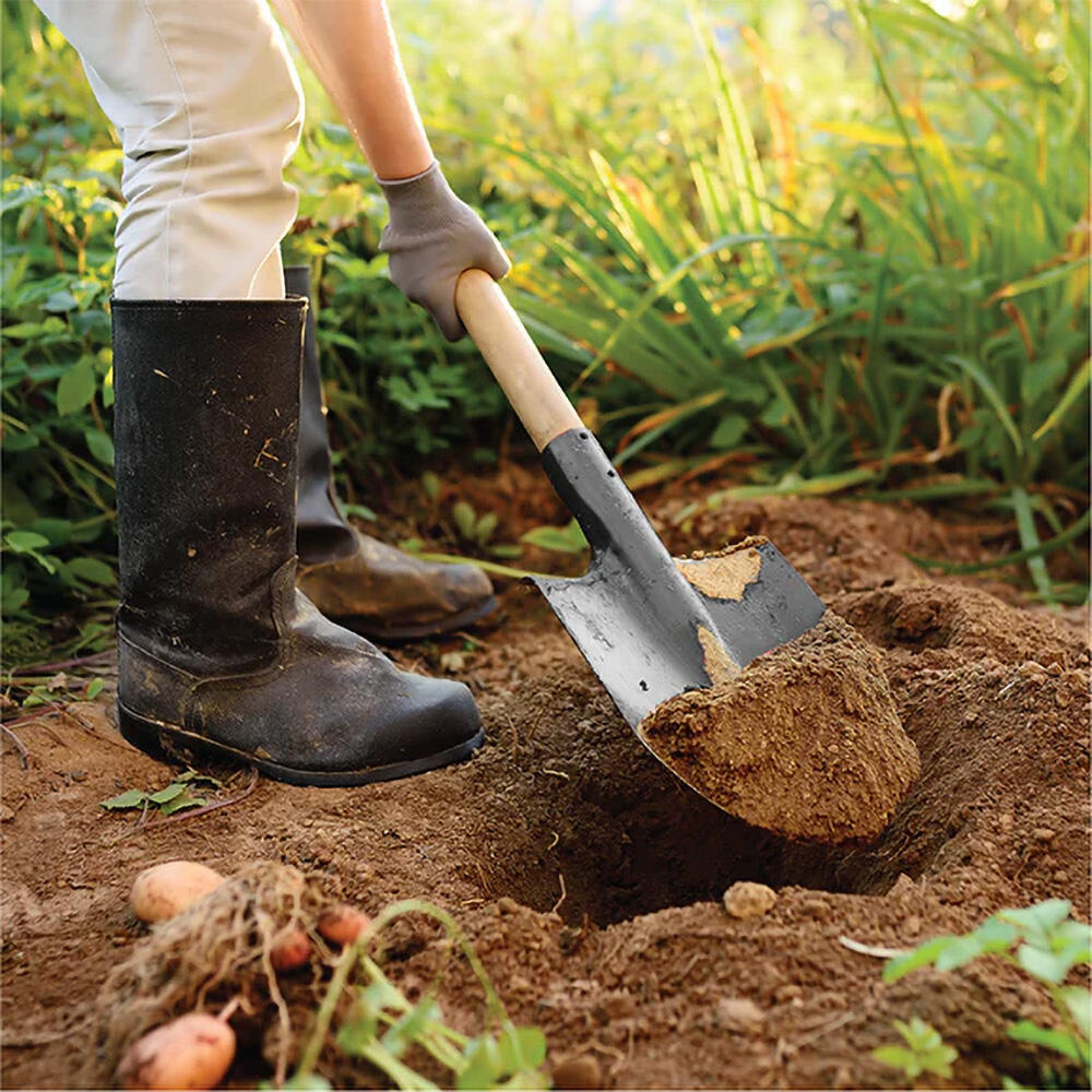 Shovel Farm Tool Wholesale Carbon Shovels With Lon05