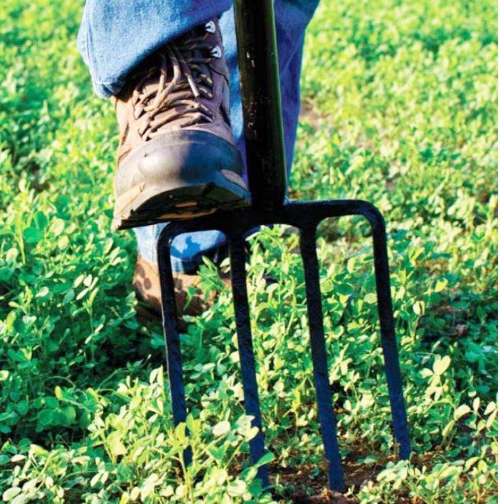 Digging Forks 5 Tine Stainless Steel Farming Tools02