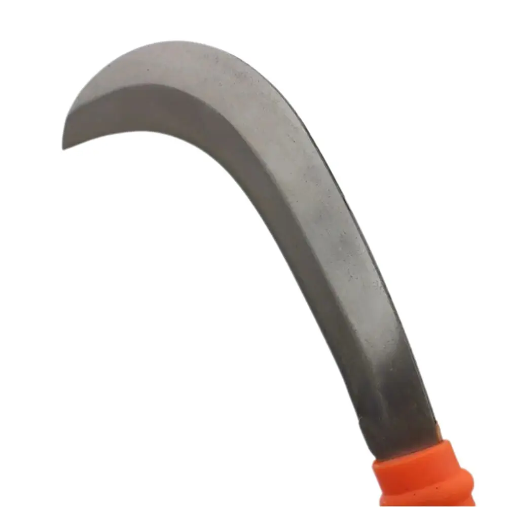 China Coconut Cutting Knife - Green Tender Coconut Opener from Reliable Suppliers & Factory