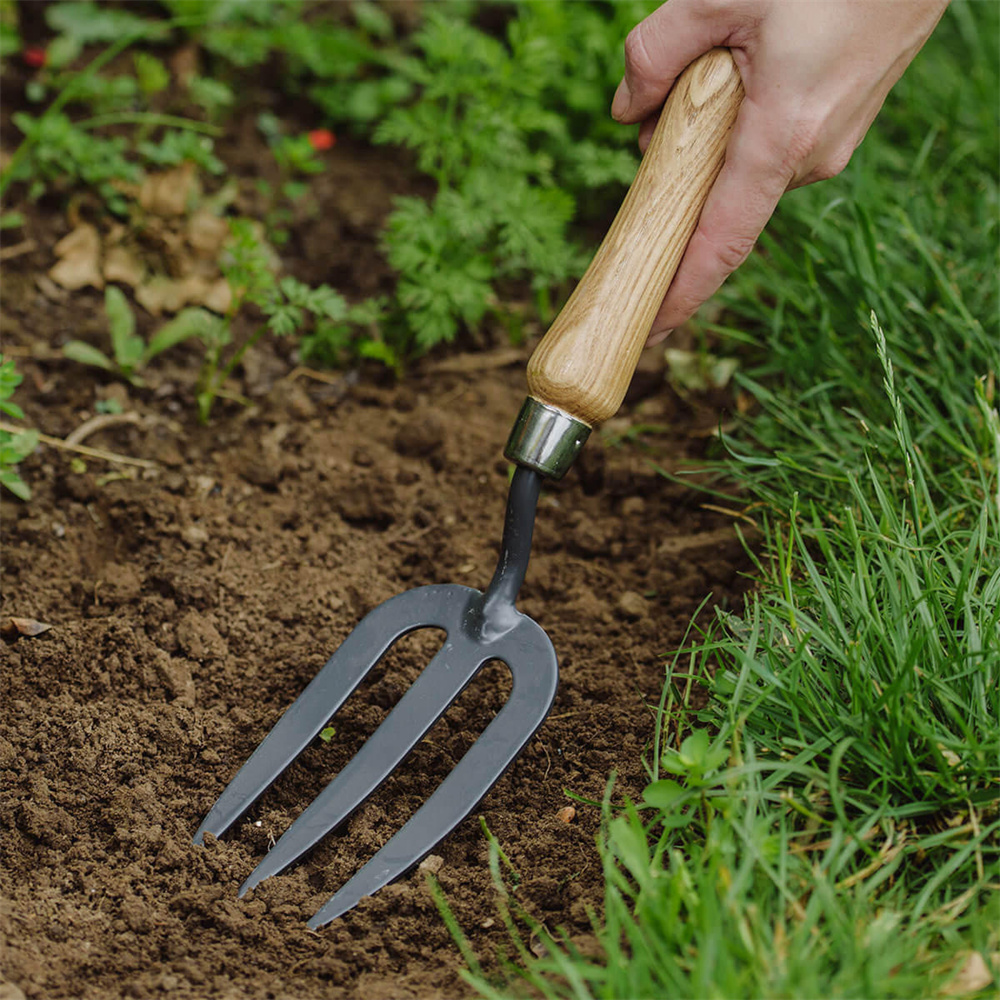 Garden Forks Stainless Steel Gardening Tool With Wood