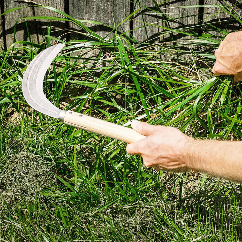 China Factory Suppliers Garden Sickle - Carbon Steel Harvesting Hand Tool for Efficient Gardening