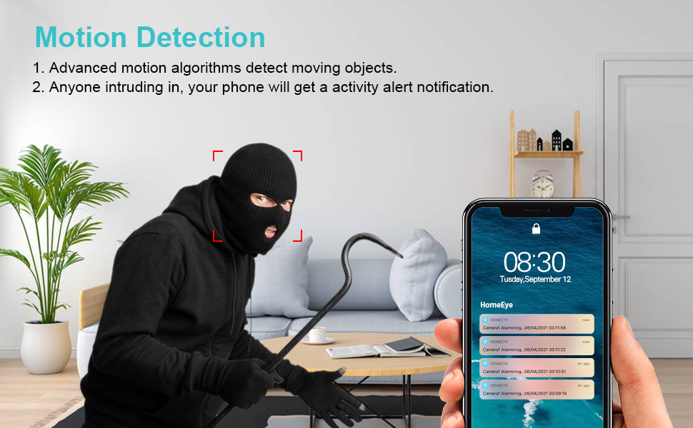 Motion detection alerts