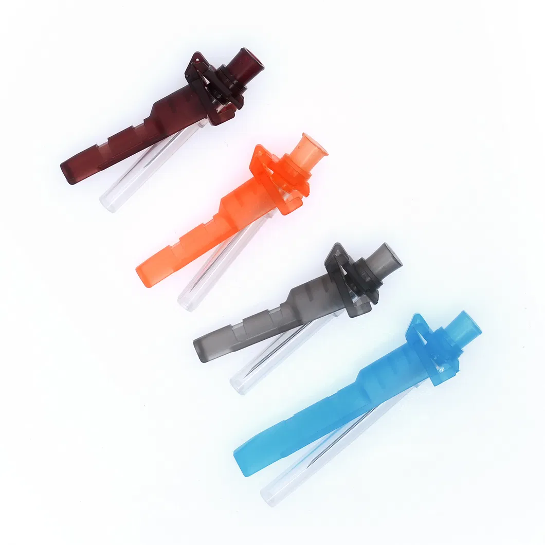 Related Product 6