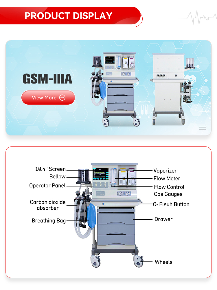 GSM-IIIA Product Detail