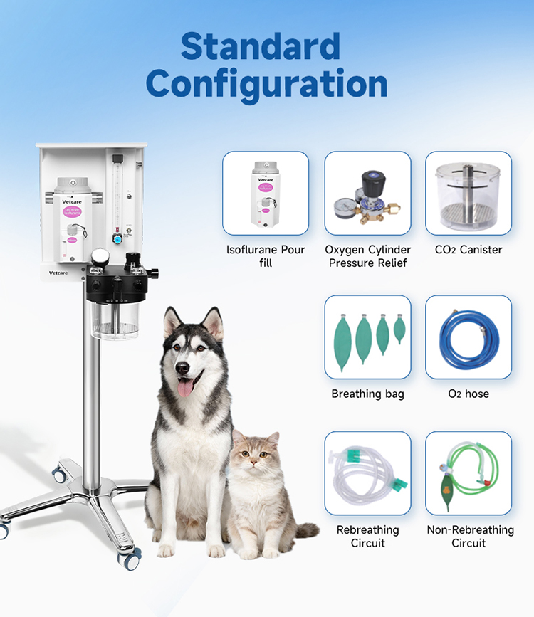 Anestesia Inhalatoria Veterianria Portable Anaesthesia Machines For Veterinary Hospitals Clinics Pet Clinic Anesthesia System