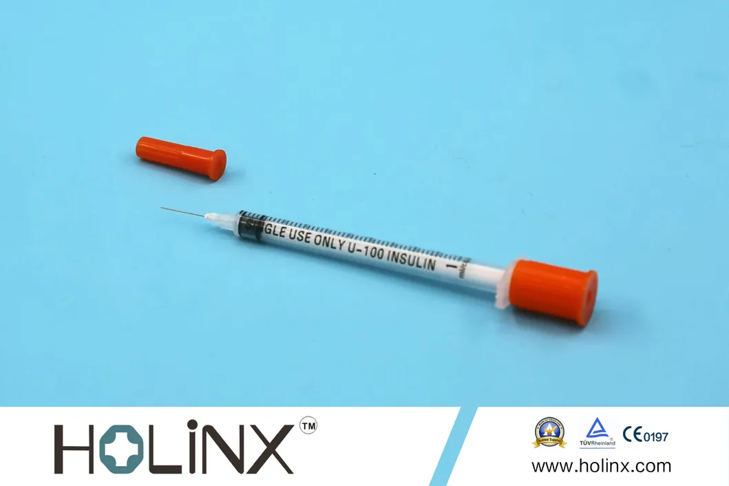 Insulin Syringe Detail 1