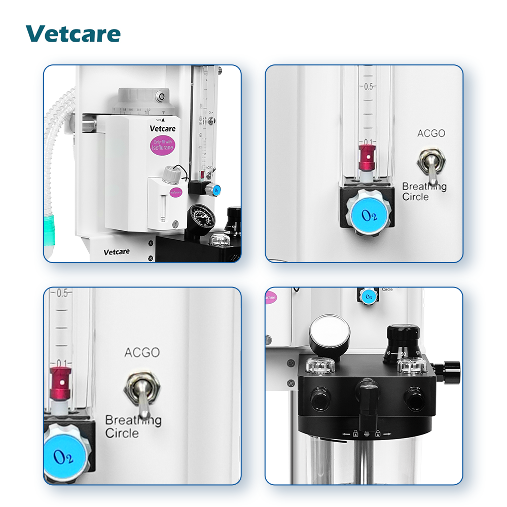 Anestesia Inhalatoria Veterianria Portable Anaesthesia Machines For Veterinary Hospitals Clinics Pet Clinic Anesthesia System