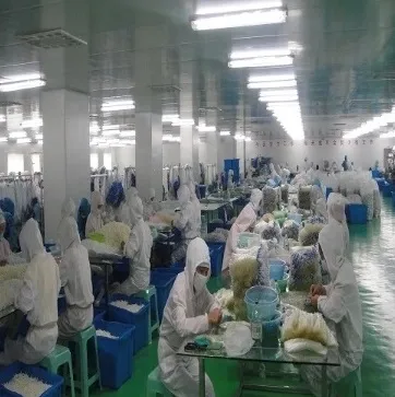 Factory Clean Room 2