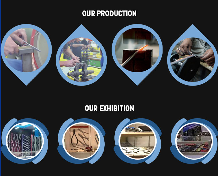 Company Profile