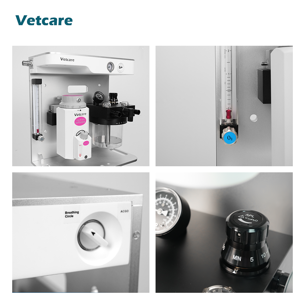MRI Compatible Veterinary Anesthesia Animal Anesthesia Equipment Vet Anesthesia Machine