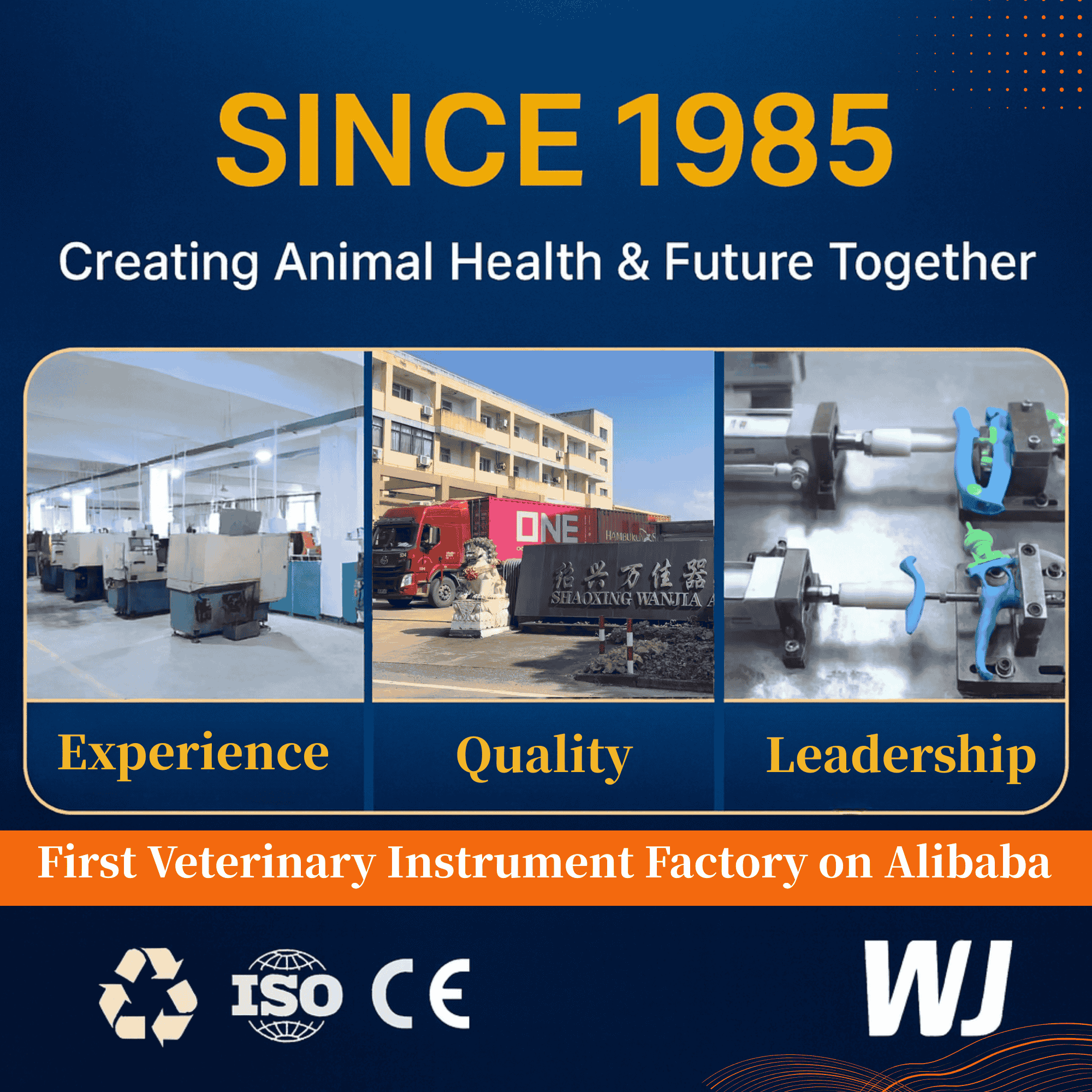 WANJIA Veterinary Disposable Sterile Safety Injection Syringe for Poultry Livestock Cattle Animal Medical Treatment Use
